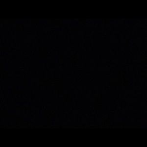 Meet your Posher, Darya